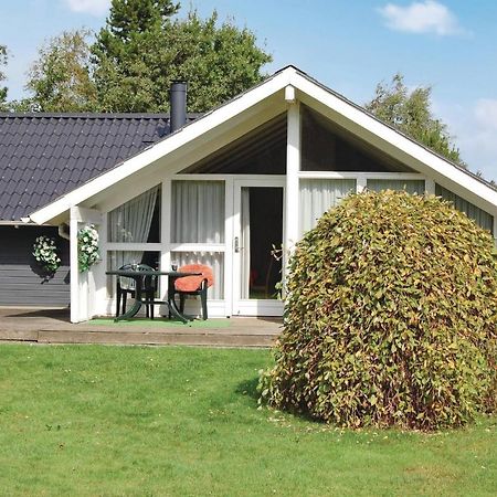 Pet Friendly Home In Oksbol With Wifi Buitenkant foto
