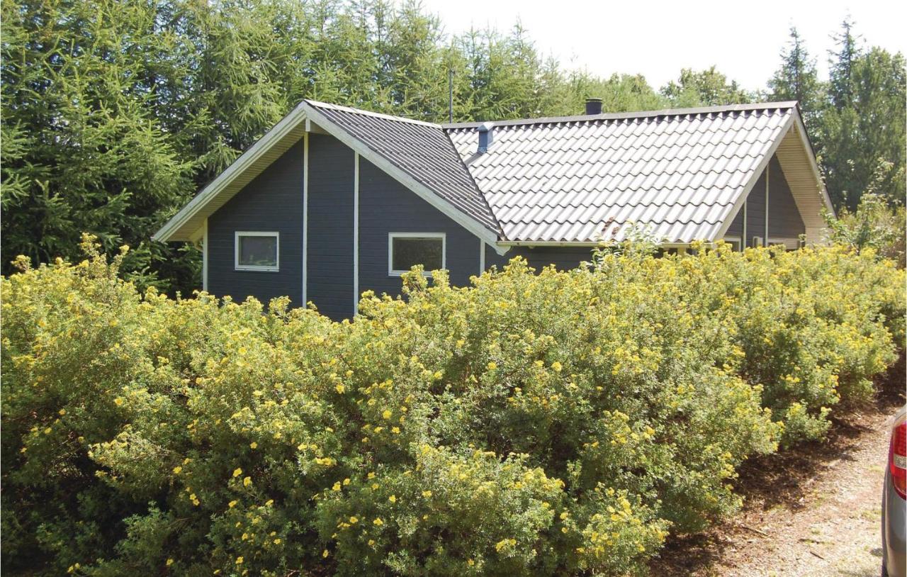 Pet Friendly Home In Oksbol With Wifi Buitenkant foto
